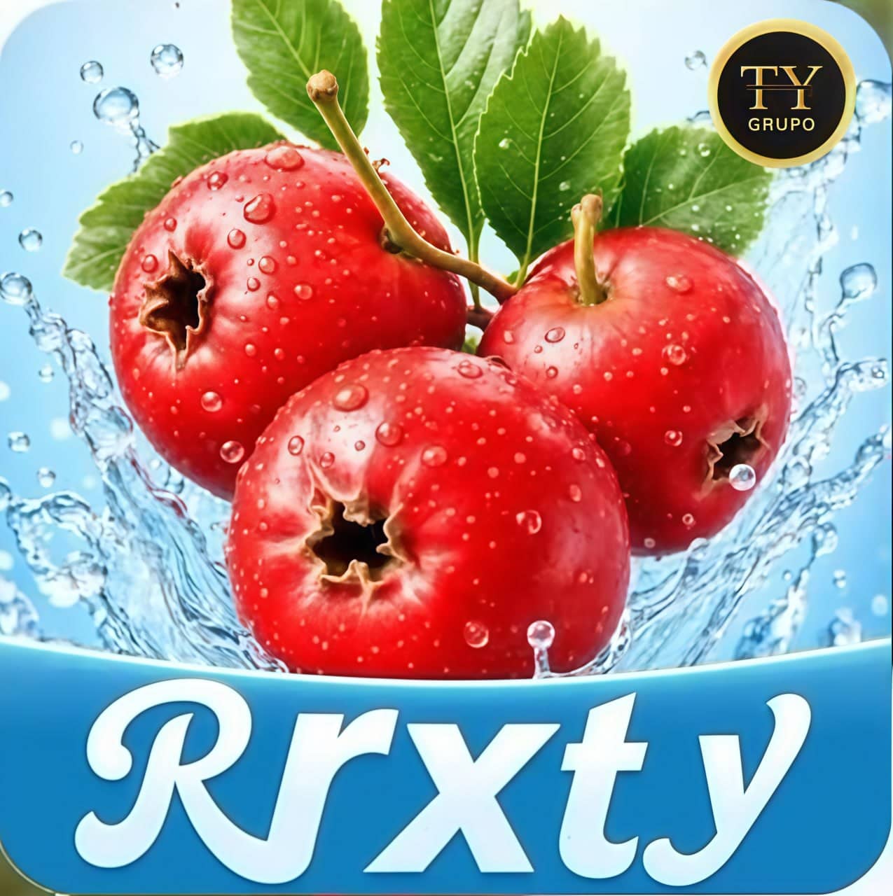 Screenshot da RRXTY3.COM