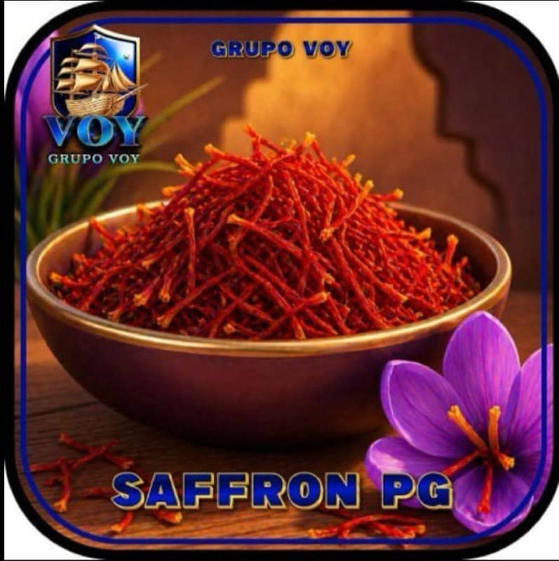 Screenshot da VOY SAFFRONNPG.COM