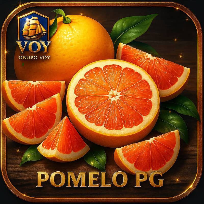 Logo PameloPG.com