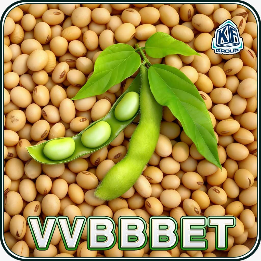 Logo VVBBBET.com