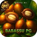 Logo BabassuPG.com