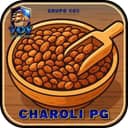 Logo VOY-CharoliPG.com