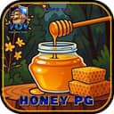 Logo VOY-HoneyPG.com
