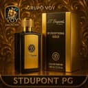 Logo VOY-StdupontPG.com
