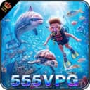 Logo 555V-PG.com