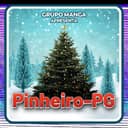 Logo PINHEIRO-PG.com