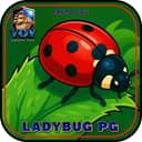 Logo VOYLADYBUG-PG.COM