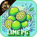 Logo W1-LIME-PG.COM