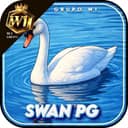 Logo W1-SWAN-PG.COM