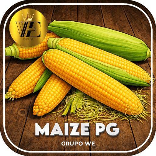 Logo WE-MAIZE-PG.COM