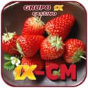 Logo 1X-CM.COM - DEPOSITO 2X
