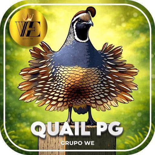 Logo WEQUAIL-PG.COM
