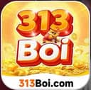 Logo 313BOIPG.COM
