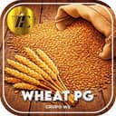 Logo WE-WHEAT-PG.COM