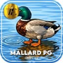 Logo WE-MALLARDDPG.COM