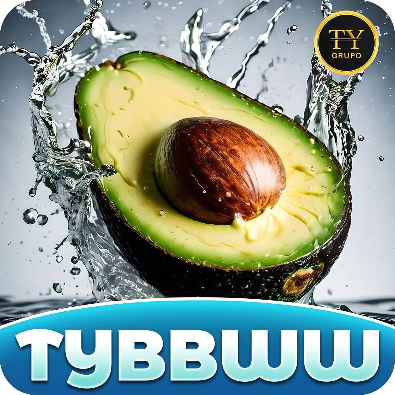 Logo TYBBWW3.COM
