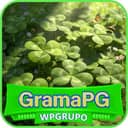 Logo WP GRAMAPG.COM