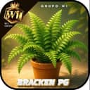 Logo W1 BRACKENNPG.COM