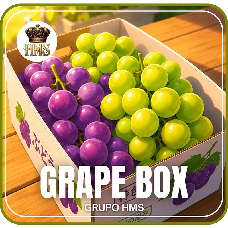Logo HMS GRAPEBOX.COM