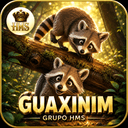 Logo HMS GUAXINIIM.COM