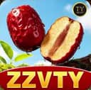 Logo ZZVTY1.COM