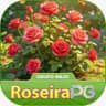 Logo ROSEIRA PG.COM