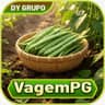 Logo VAGEM PG.COM