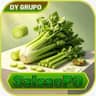 Logo DY SALSAOPG.COM