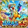 Logo BRASKF.COM