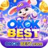 Logo OKOKBEST.COM