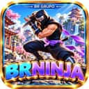 Logo BRNINJA.COM