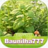 Logo BAUNILHAA777.COM - BAÚ DE BÔNUS
