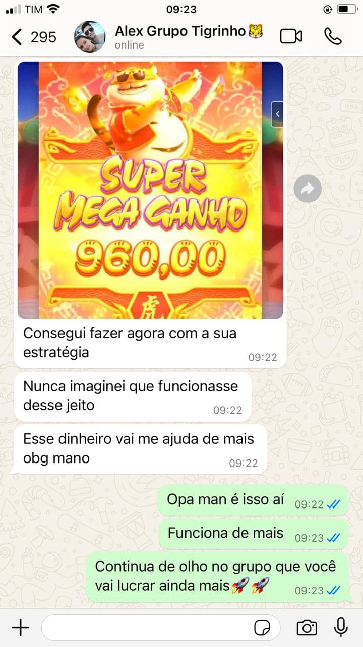 Screenshot da TELA PG