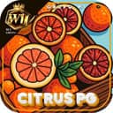 Logo CitrusPG.com