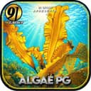 Logo 91-ALGAE-PG.COM