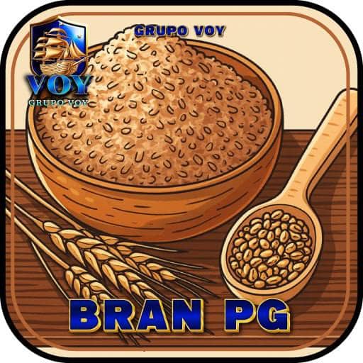 Logo VOY-BRAN-PG.COM