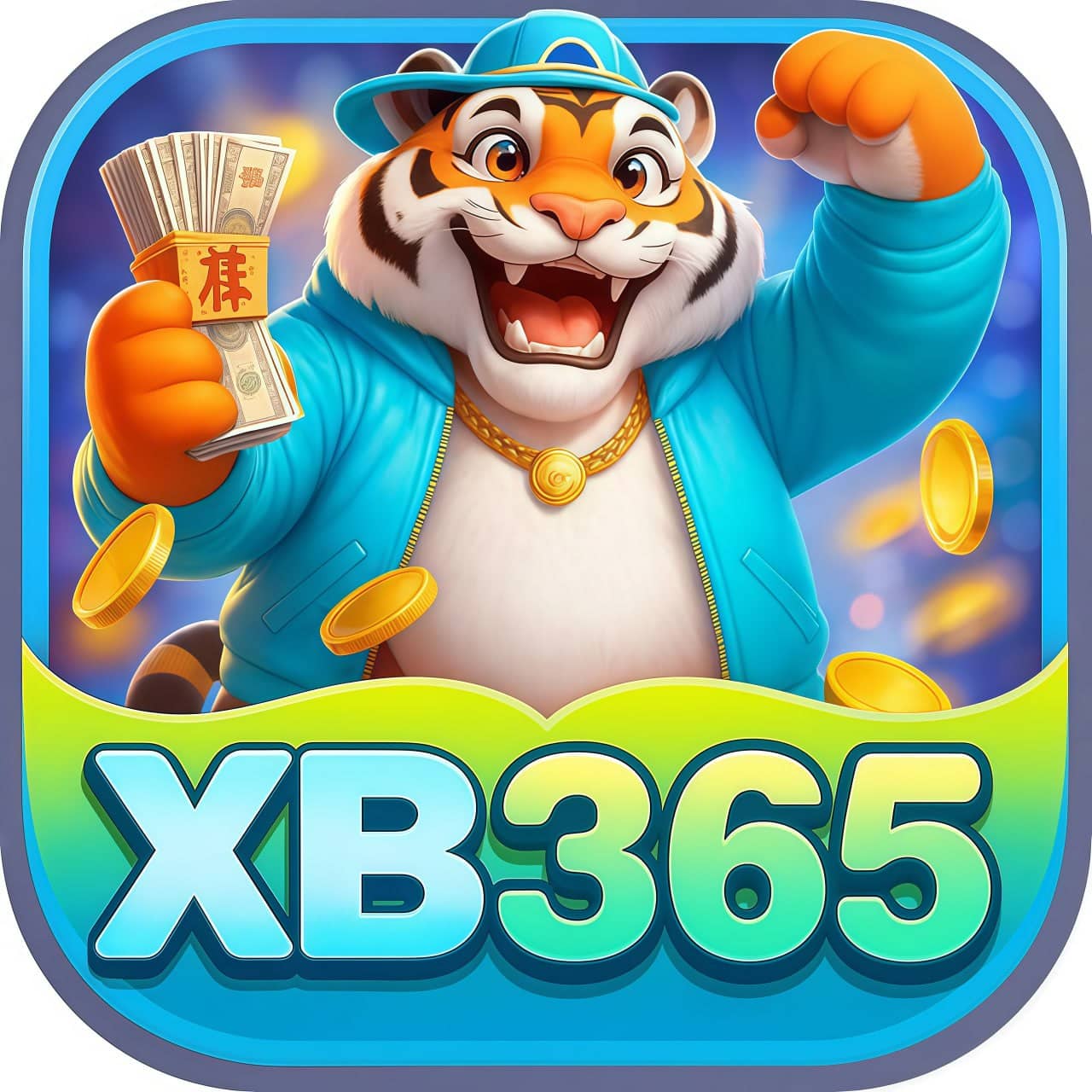 Logo XB-365.COM