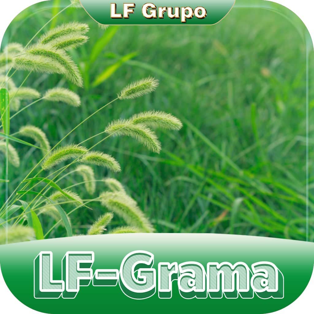 Logo LF-GRAMA.COM