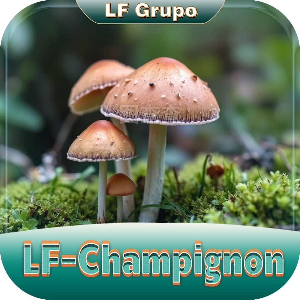 Logo LF-CHAMPIGNON.COM