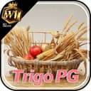 Logo W1-TRIGO-PG.COM