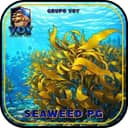 Logo VOY-SEAWEED-PG.COM