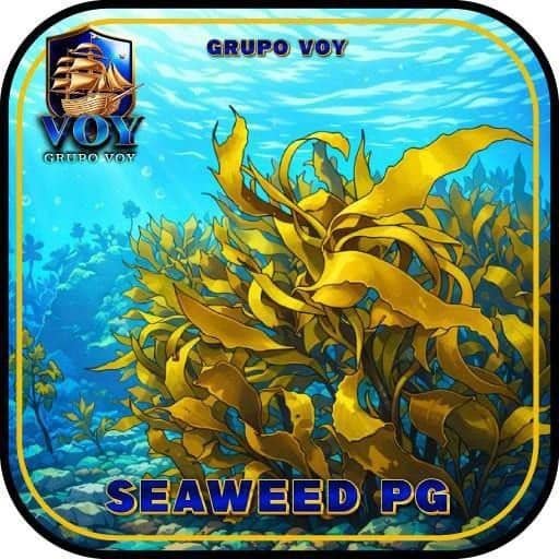 Logo VOY-SEAWEED-PG.COM