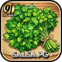 Logo 91-SALSAAPG.COM