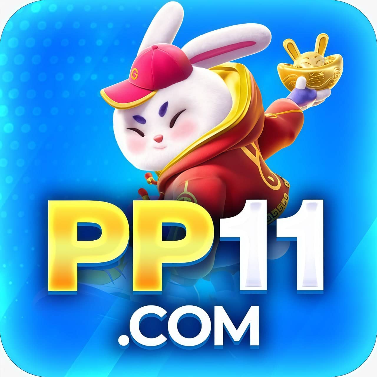 Logo PP11ST.COM