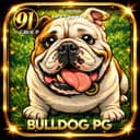 Logo 91-BBULLDOGPG.COM