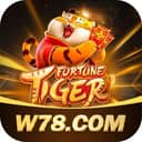 Logo W78XXTT.COM