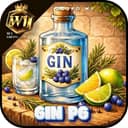 Logo W1 GINNPG.COM