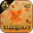 Logo W1 CARVALHOOPG.COM - DEPOSITO 3X