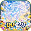 Logo DD429.COM