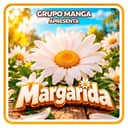 Logo MANGA MARGARIIDA.COM